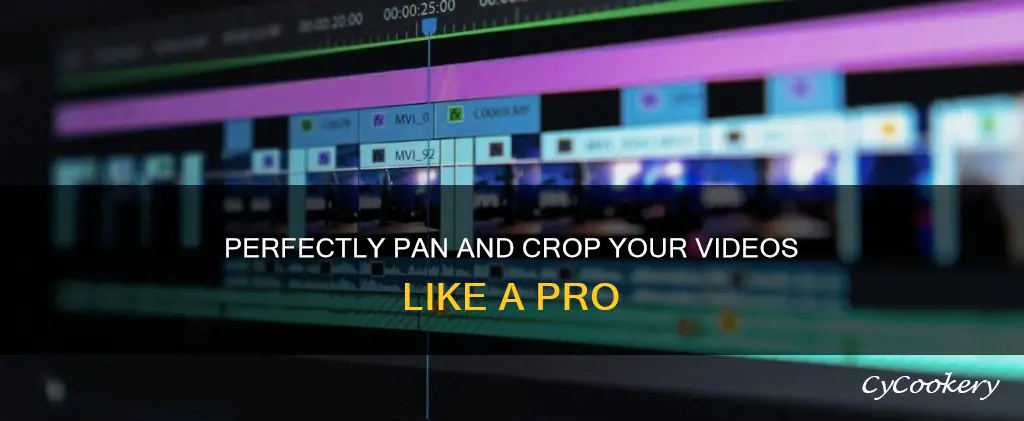 how to pan and cropo orenere pro