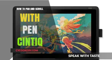Mastering Pan and Scroll with Pen Cintiq