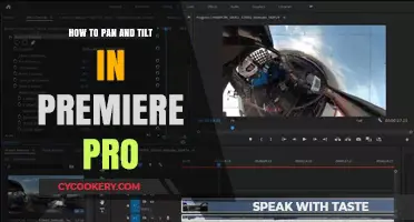 Master Panning and Tilting in Premiere Pro