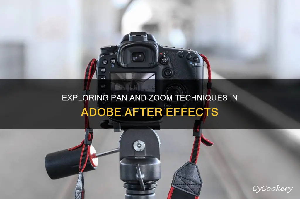 how to pan and zoom in adobe after effects