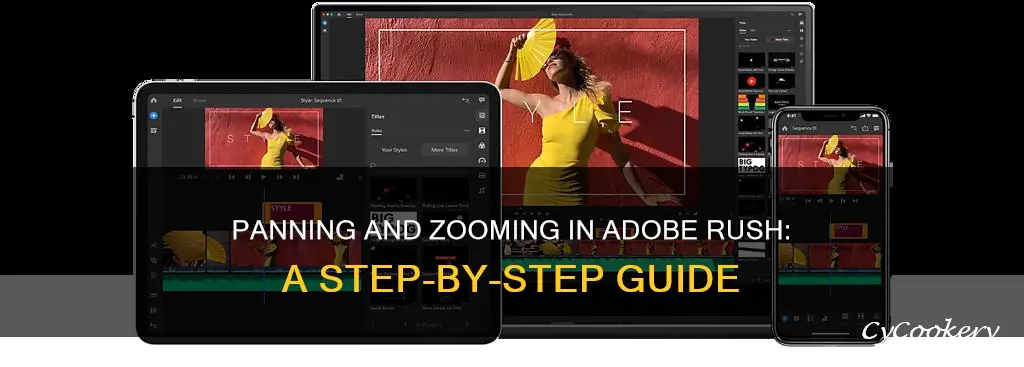 how to pan and zoom in adobe rush