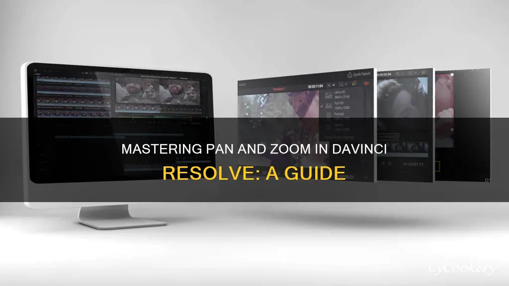 how to pan and zoom in davinci resolve