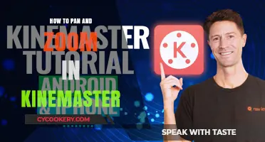 Pan and Zoom: Mastering the Art of Kinemaster Techniques