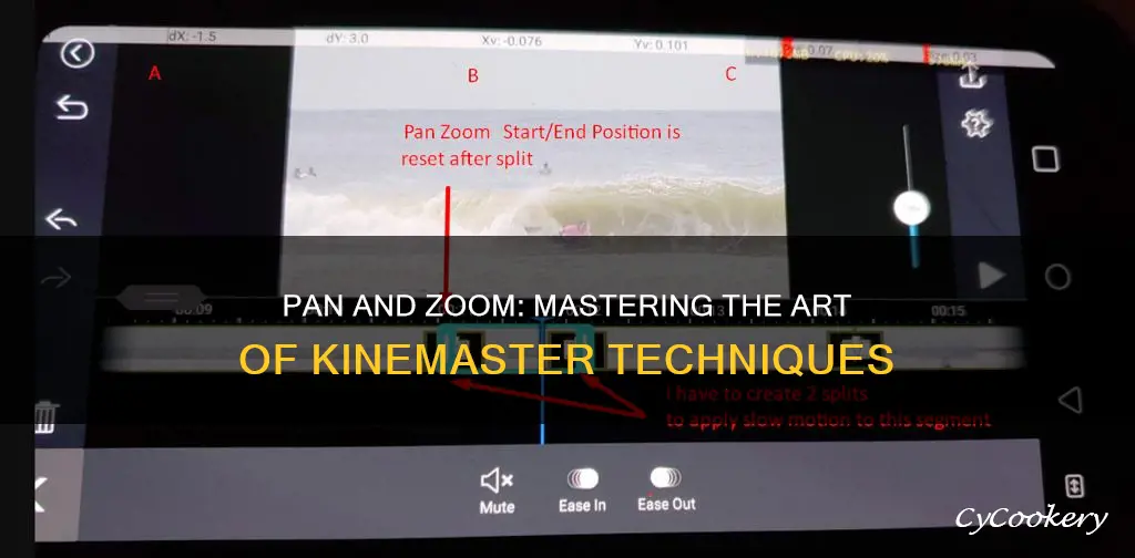 how to pan and zoom in kinemaster