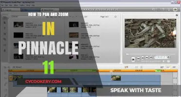 Pinnacle 11: Mastering Pan and Zoom Effects