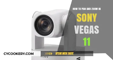 Pan and Zoom in Sony Vegas 11: A Beginner's Guide