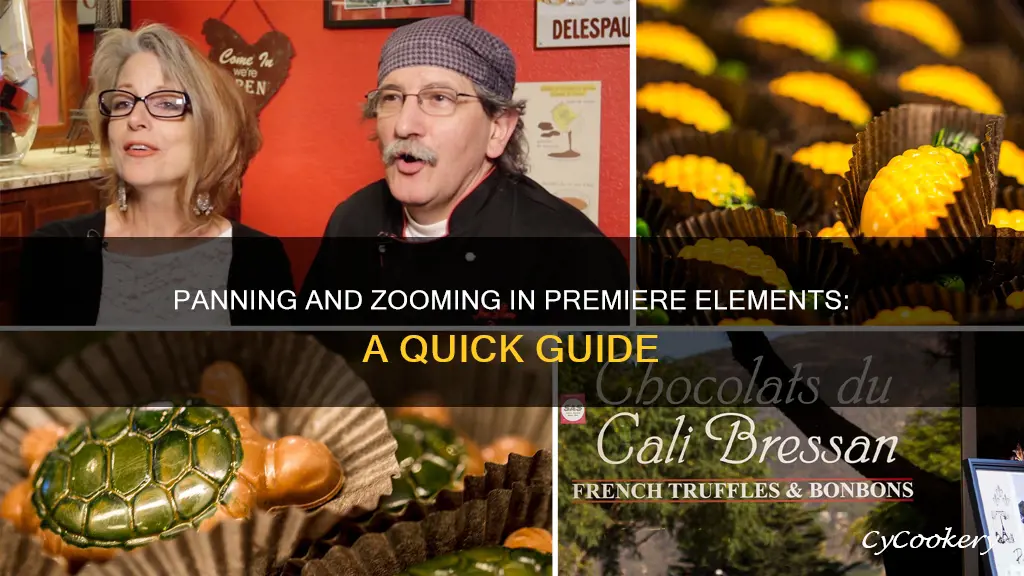 how to pan and zoome all layers in premier elements