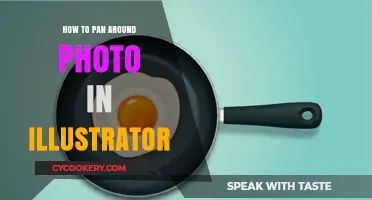 Illustrator's Pan and Zoom: Navigating Photos Like a Pro