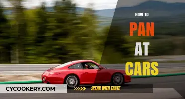 Spotting the Perfect Car: Panning Tips for Beginners