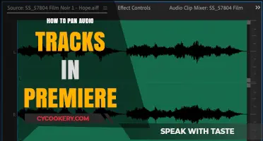Panning Audio Tracks in Premiere: A Step-by-Step Guide