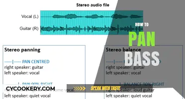 Panning Bass: Techniques and Tips for Beginners