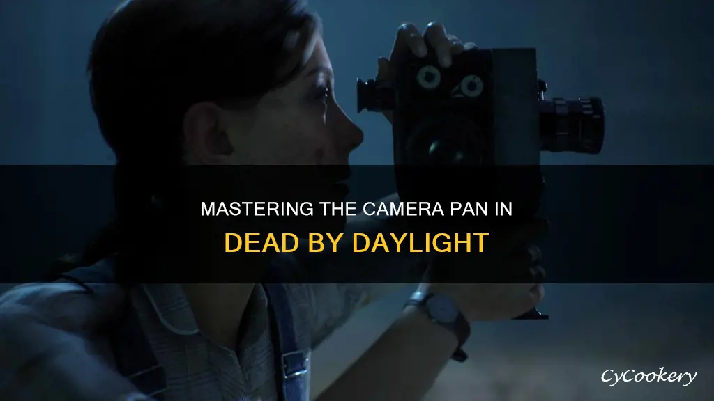 how to pan camera back in dead by daylight