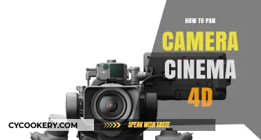 Cinemagraphic Camera Panning: Mastering the Art of Smooth Transitions