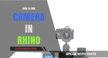 Mastering the Art of Camera Panning in Rhino
