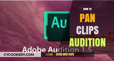 Perfecting Your Pan: Clips and Auditions