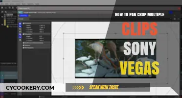 Pan and Crop in Sony Vegas: A Simple Guide