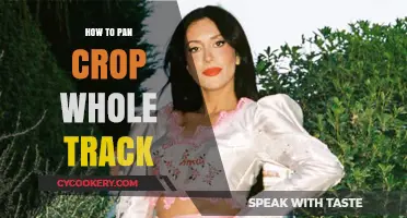Panning, Cropping, and Track Editing: A Quick Guide