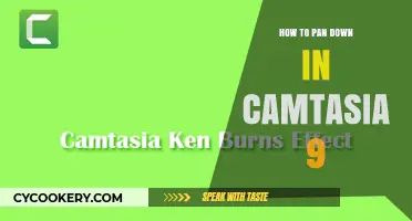 Panning in Camtasia 9: A Step-by-Step Guide to Mastering the Pan Effect