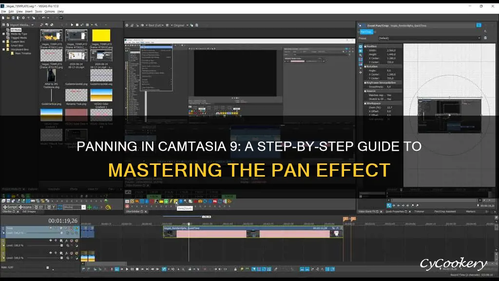 how to pan down in camtasia 9