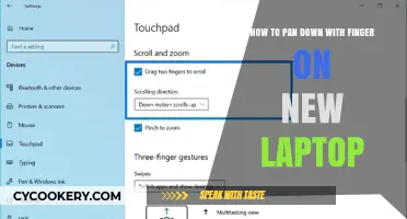 Mastering the Pan: Navigating New Laptops with Precision