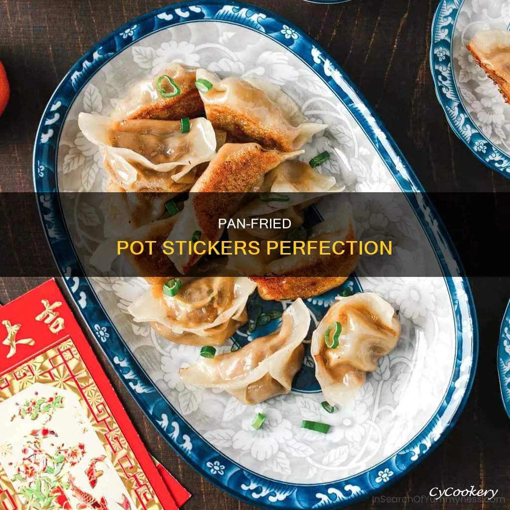 how to pan dry pot stickers