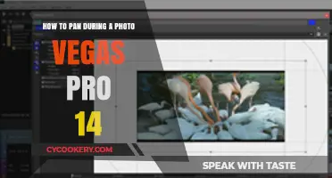 Panning Photos: Vegas Pro 14's Best Tricks