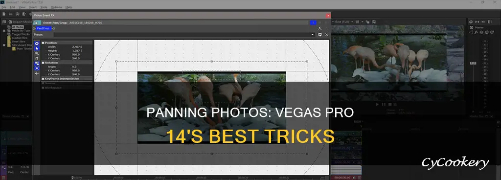 how to pan during a photo vegas pro 14