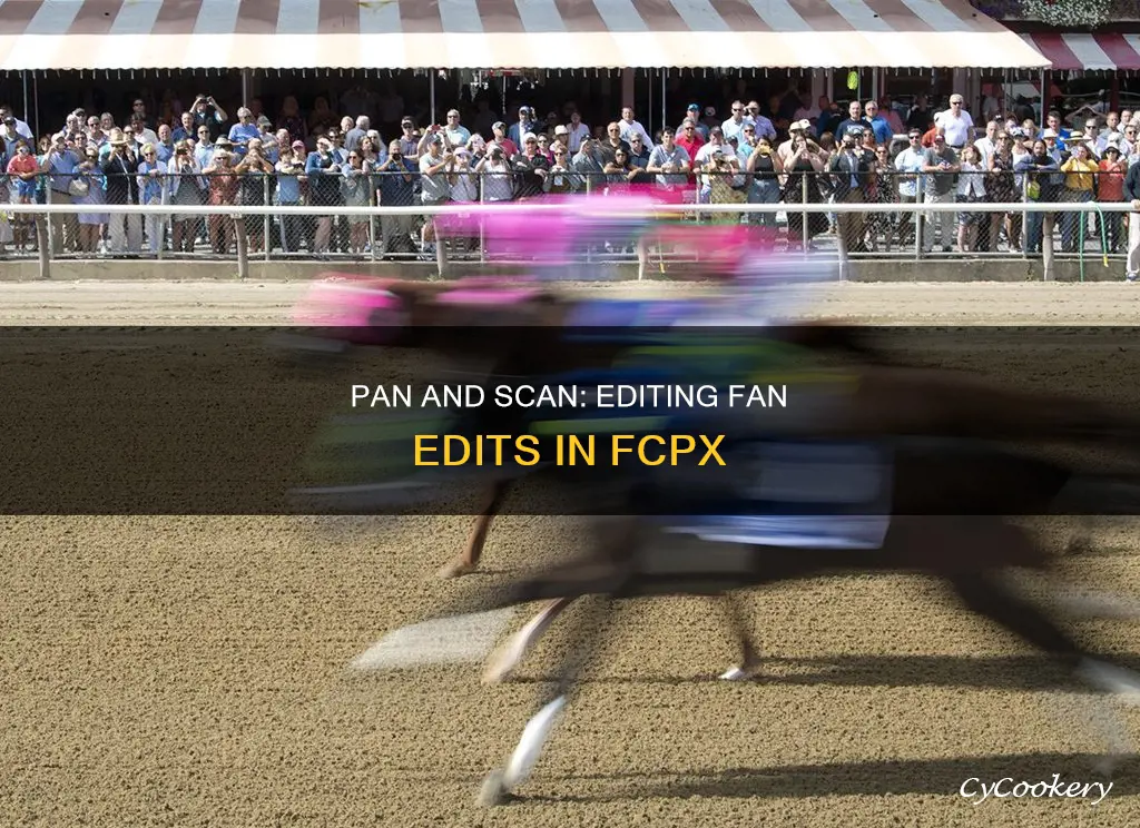 how to pan fan edits fcpx