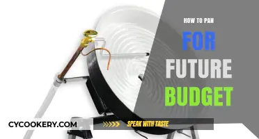 Planning for Future Budgets: Strategies for Success