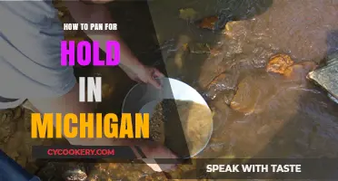 Panning for Gold in Michigan: A Beginner's Guide
