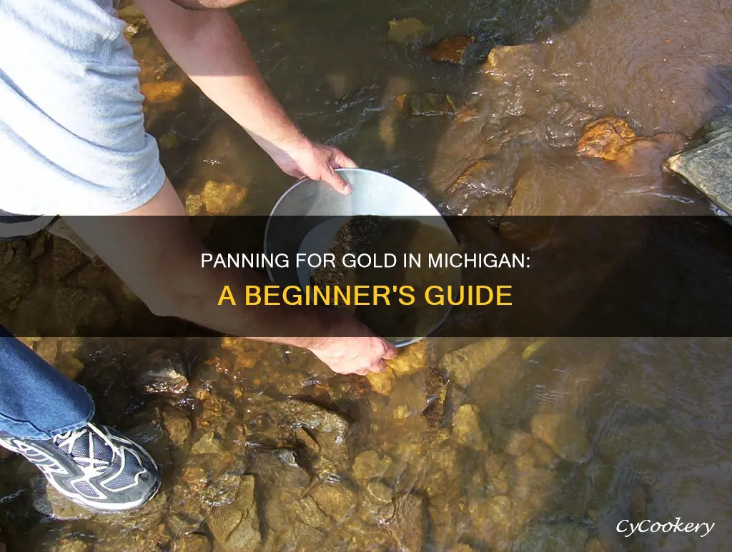 how to pan for hold in Michigan