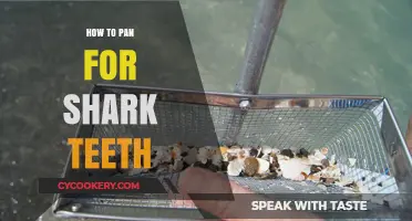 Unearthing Shark Teeth: Panning Like a Pro