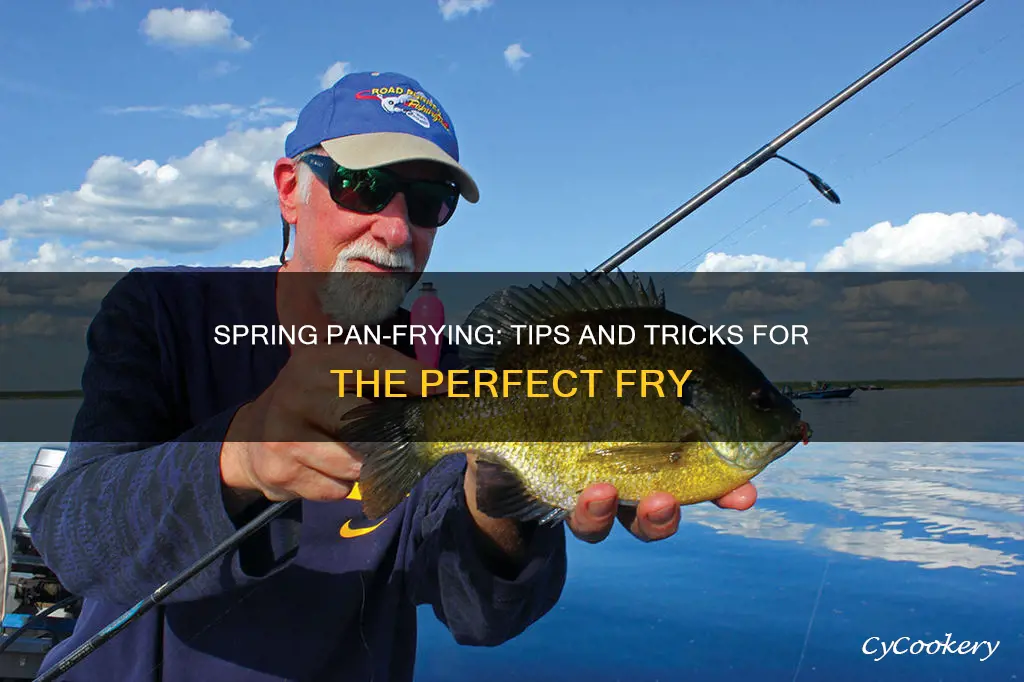 how to pan frish in the spring