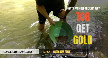 Panning for Gold: Easy Ways to Get Gold