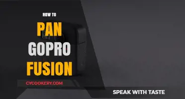 Mastering the Art of Panning with GoPro Fusion