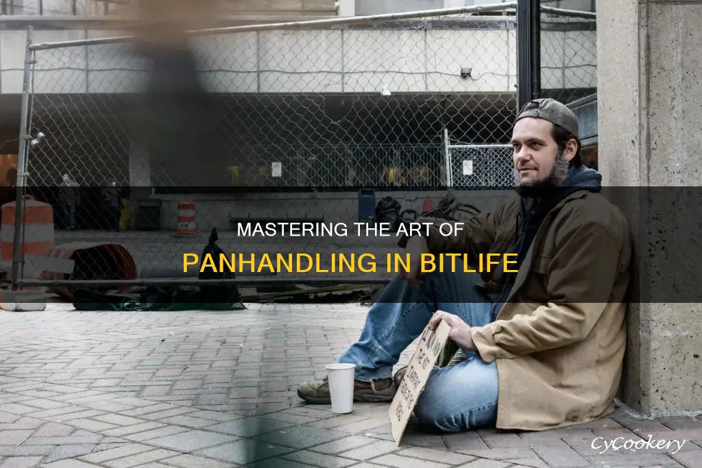 how to pan handle in bitlife
