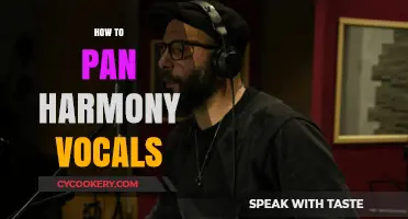 Panning Harmony Vocals: A Guide to Stereo Imaging