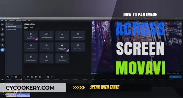 Pan Images Like a Pro with Movavi
