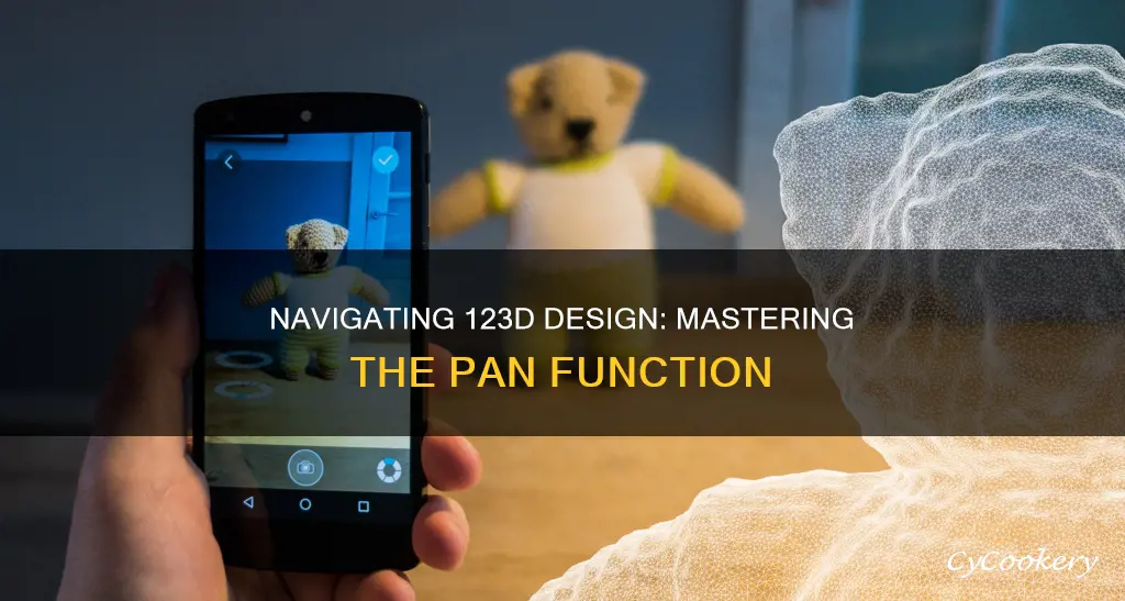 how to pan in 123d design