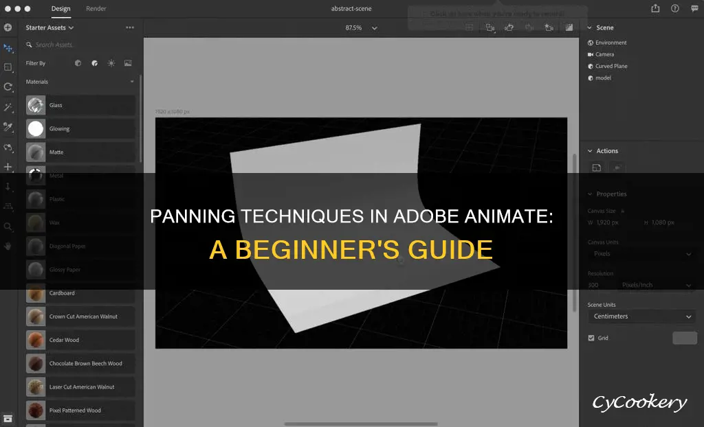 how to pan in adobe animate