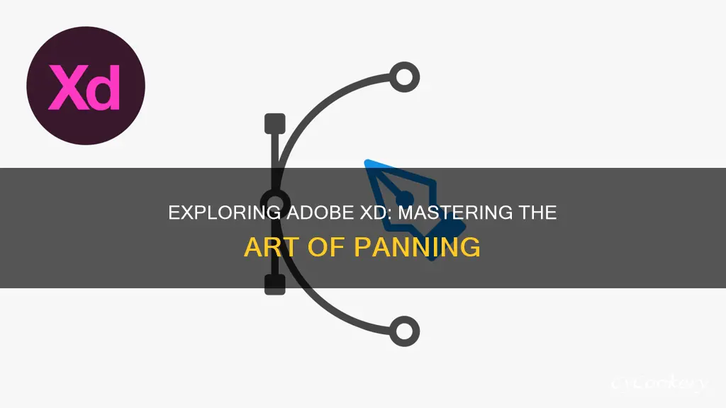 how to pan in adobe xd