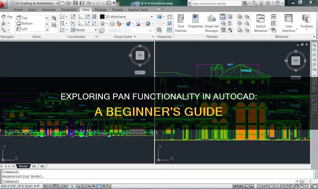how to pan in autoxad