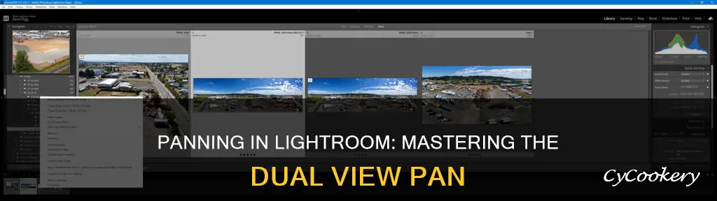 how to pan in both view in lightroom