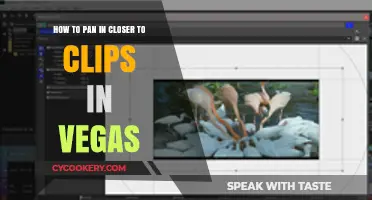 Panning in Vegas: Zooming in on Clips