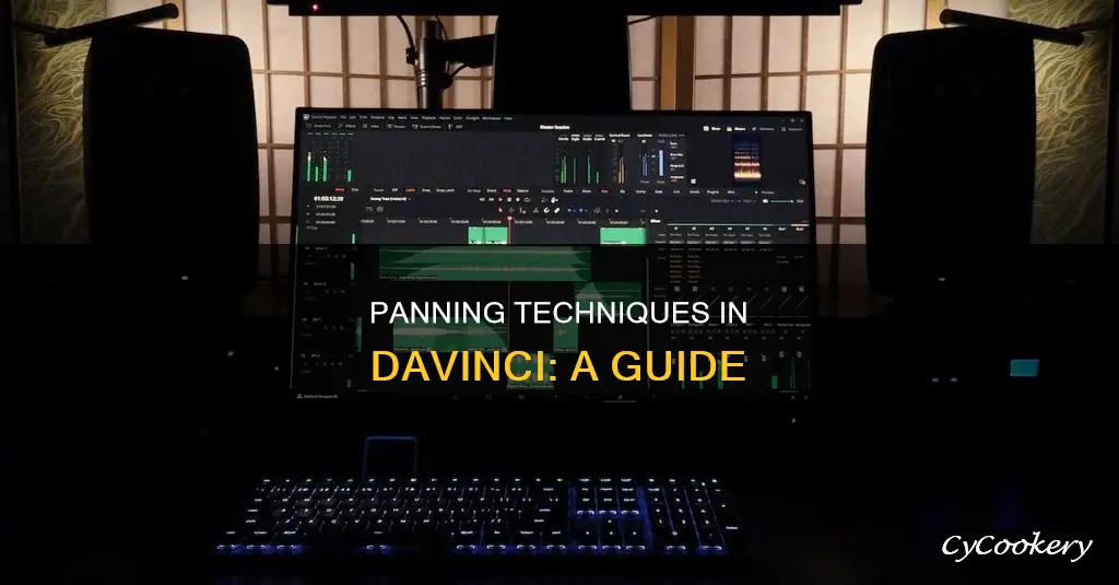 how to pan in davinci