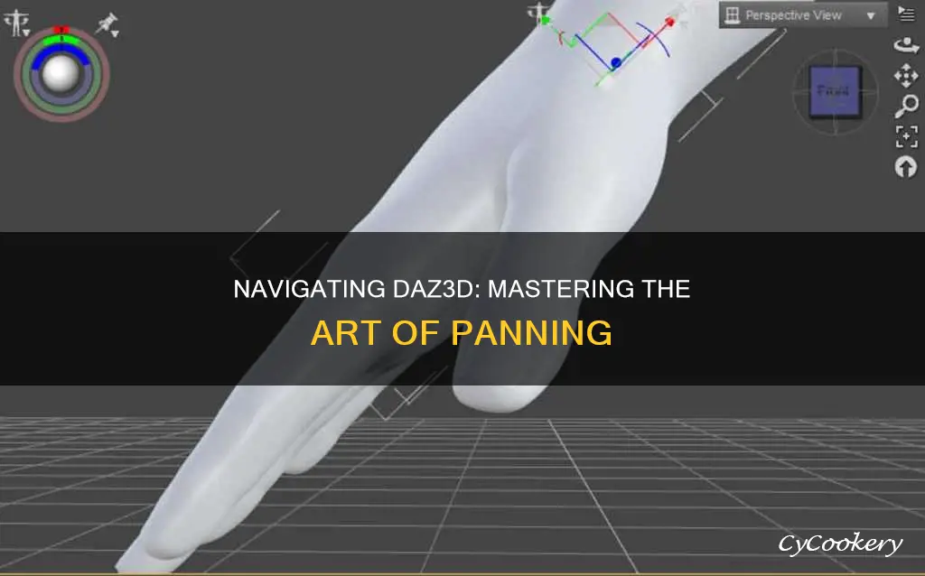 how to pan in daz3d