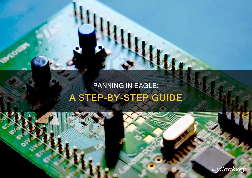 how to pan in eagle