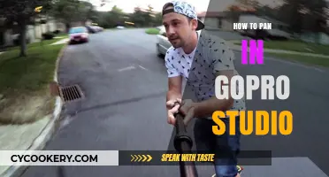 Panning with GoPro Studio: A Step-by-Step Guide