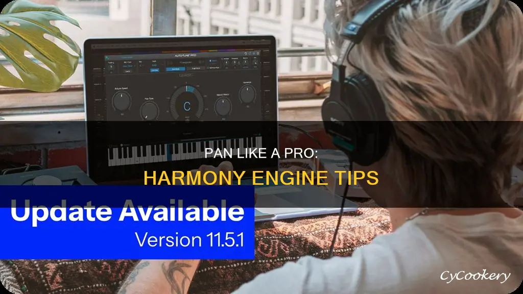 how to pan in harmony engiene