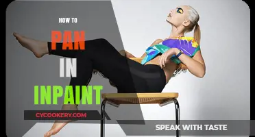 Inpaint Panning: The Ultimate Guide
